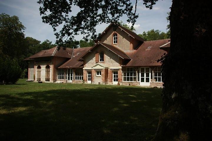B&B Le Logis De Bois Renard Saint-Laurent-Nouan Værelse billede